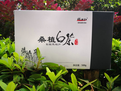 张家界帅湘红高山云雾荒山老白茶-桑植白茶茯砖 500g 168元包邮