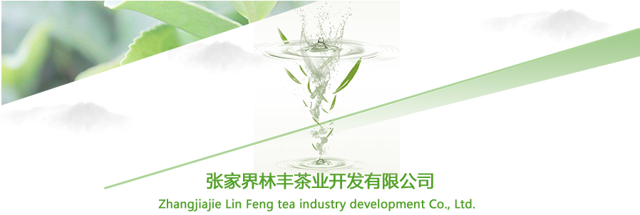 张家界林丰茶叶开发有限公司,张家界茶叶开发,茶叶种植,桑植白茶加工,帅湘红销售 张家界林丰茶叶开发有限公司,张家界茶叶开发,茶叶种植,桑植白茶加工,帅湘红销售