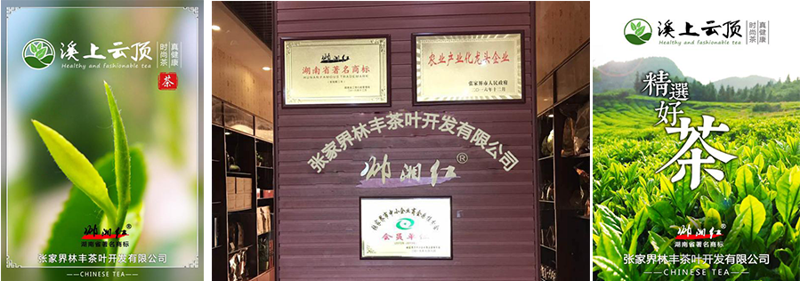 张家界林丰茶叶开发有限公司,张家界茶叶开发,茶叶种植,桑植白茶加工,帅湘红销售 张家界林丰茶叶开发有限公司,张家界茶叶开发,茶叶种植,桑植白茶加工,帅湘红销售