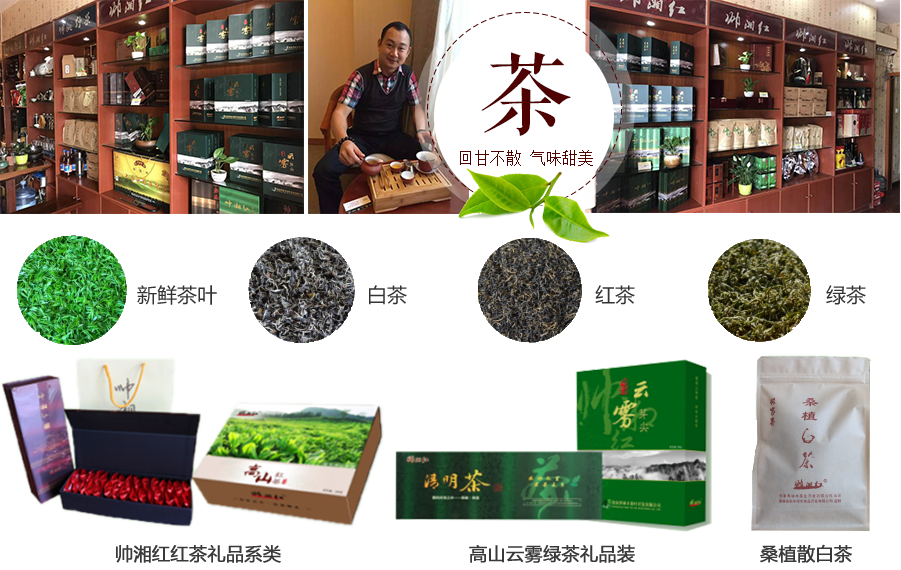 张家界林丰茶叶开发有限公司,张家界茶叶开发,茶叶种植,桑植白茶加工,帅湘红销售 张家界林丰茶叶开发有限公司,张家界茶叶开发,茶叶种植,桑植白茶加工,帅湘红销售