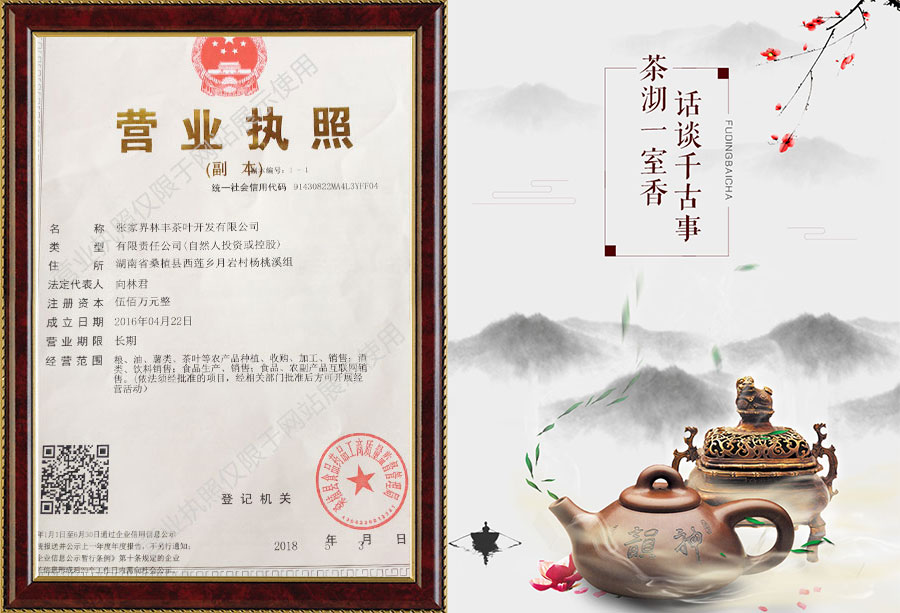 张家界林丰茶叶开发有限公司,张家界茶叶开发,茶叶种植,桑植白茶加工,帅湘红销售 张家界林丰茶叶开发有限公司,张家界茶叶开发,茶叶种植,桑植白茶加工,帅湘红销售