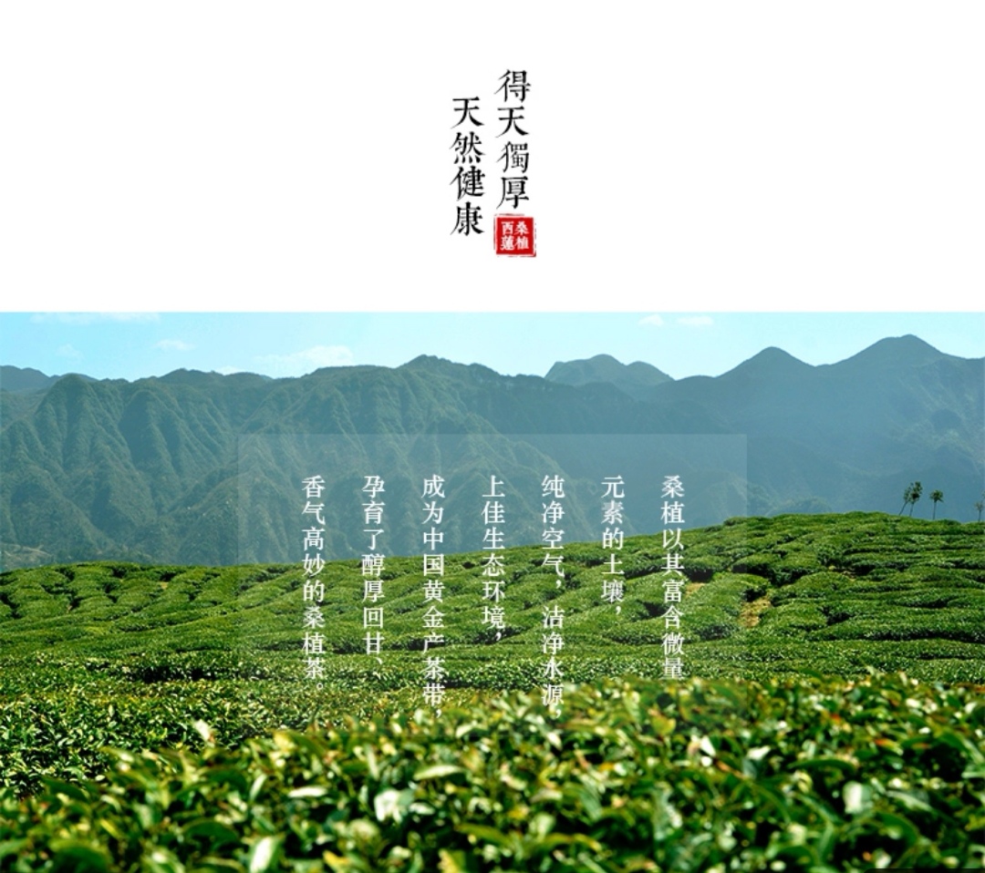 张家界林丰茶叶开发有限公司,张家界茶叶开发,茶叶种植,桑植白茶加工,帅湘红销售