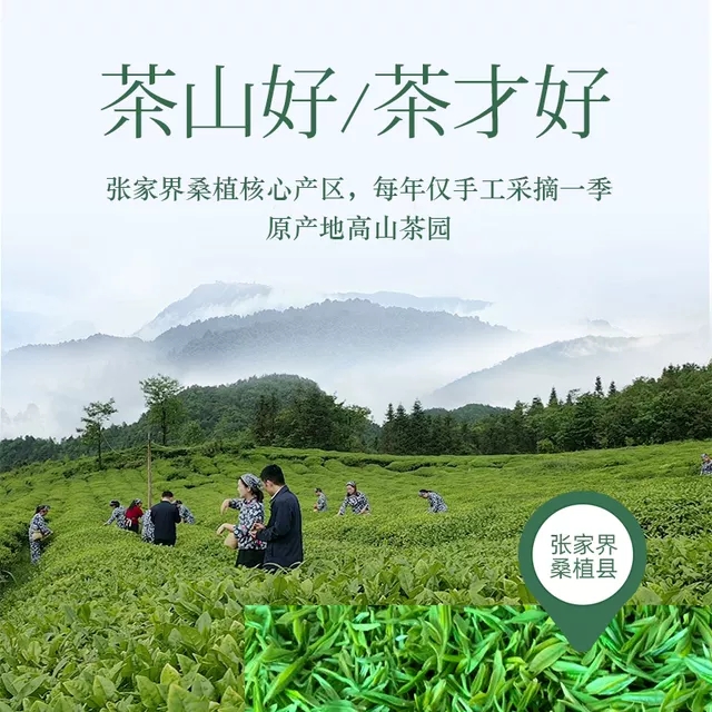 张家界林丰茶叶开发有限公司,张家界茶叶开发,茶叶种植,桑植白茶加工,帅湘红销售