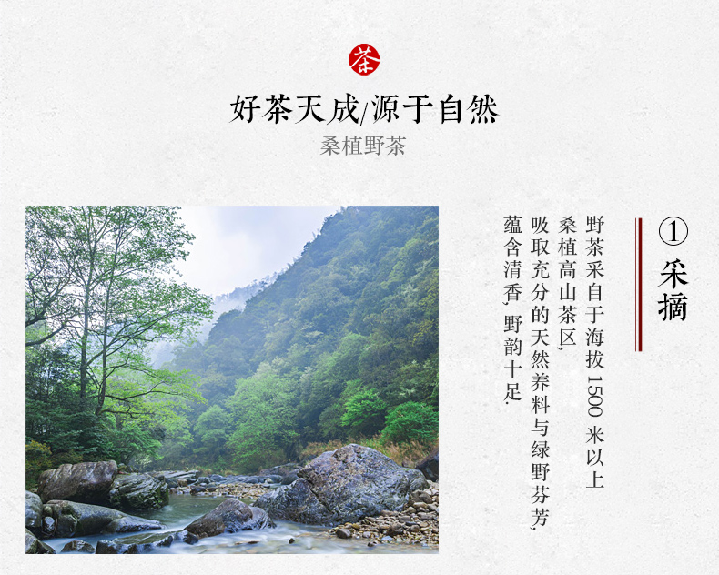 张家界林丰茶叶开发有限公司,张家界茶叶开发,茶叶种植,桑植白茶加工,帅湘红销售