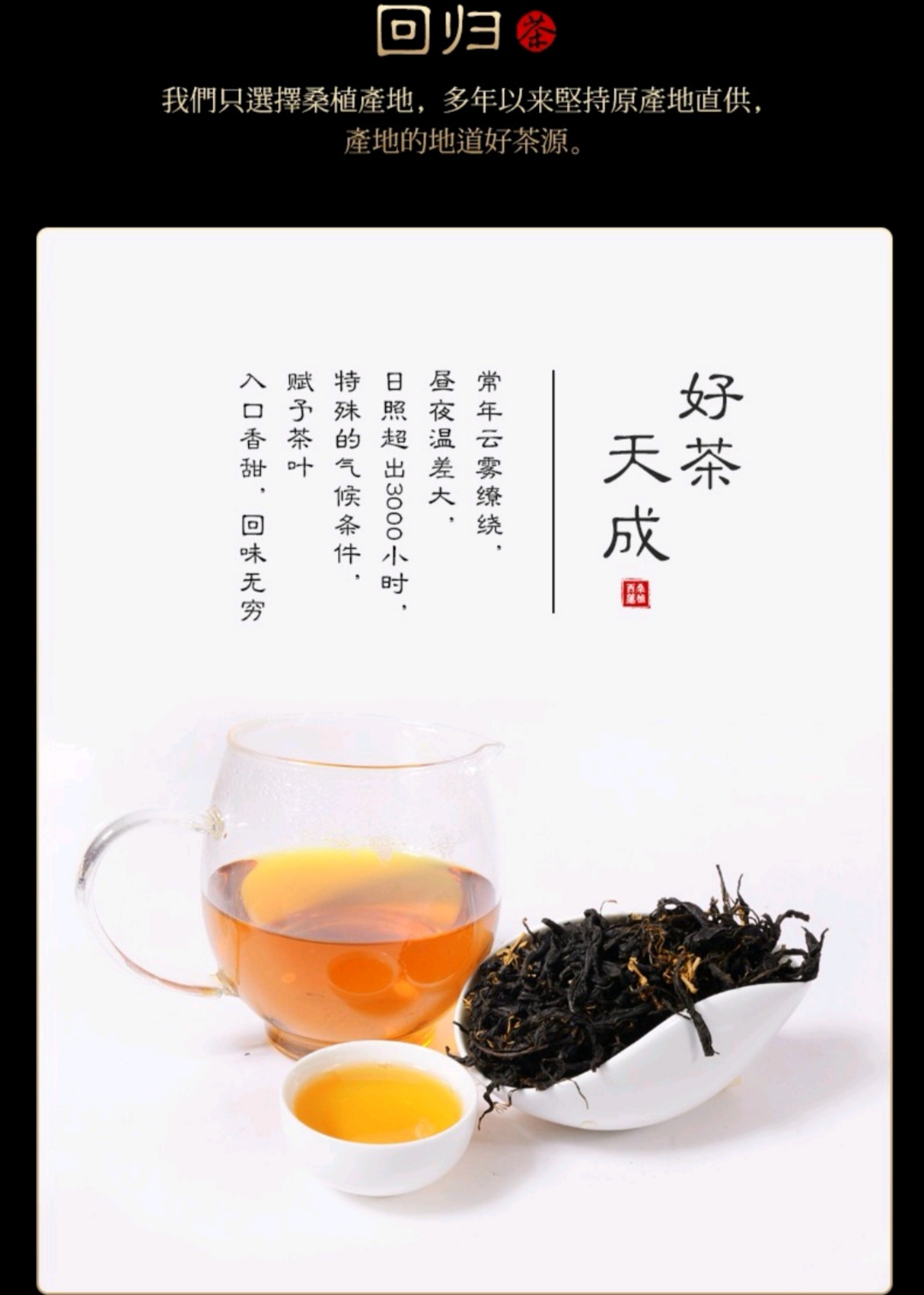 张家界林丰茶叶开发有限公司,张家界茶叶开发,茶叶种植,桑植白茶加工,帅湘红销售