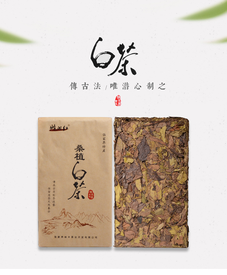 张家界林丰茶叶开发有限公司,张家界茶叶开发,茶叶种植,桑植白茶加工,帅湘红销售